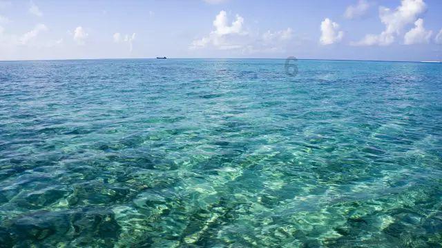 发现惊人冷知识,尽在