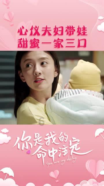 羊肉最佳配料配方?-专业的有问必答平台